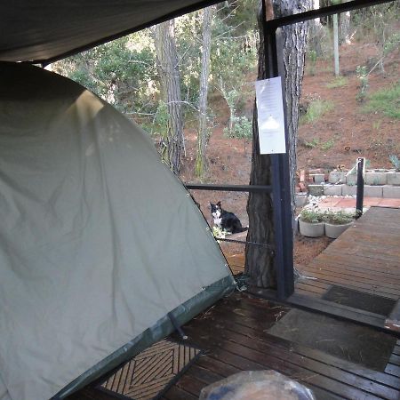 Eagles' Call Cottages&Tent Wildernis Exteriör bild