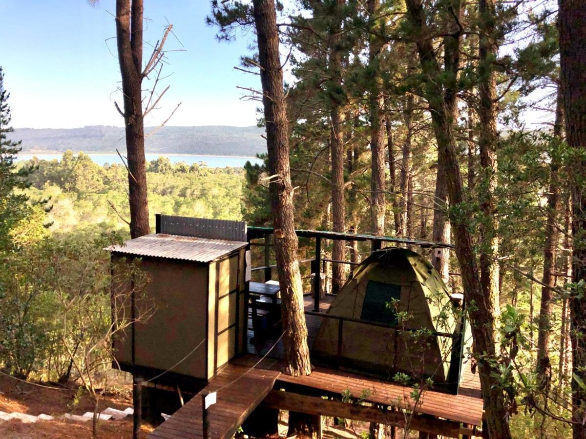 Eagles' Call Cottages&Tent Wildernis Exteriör bild