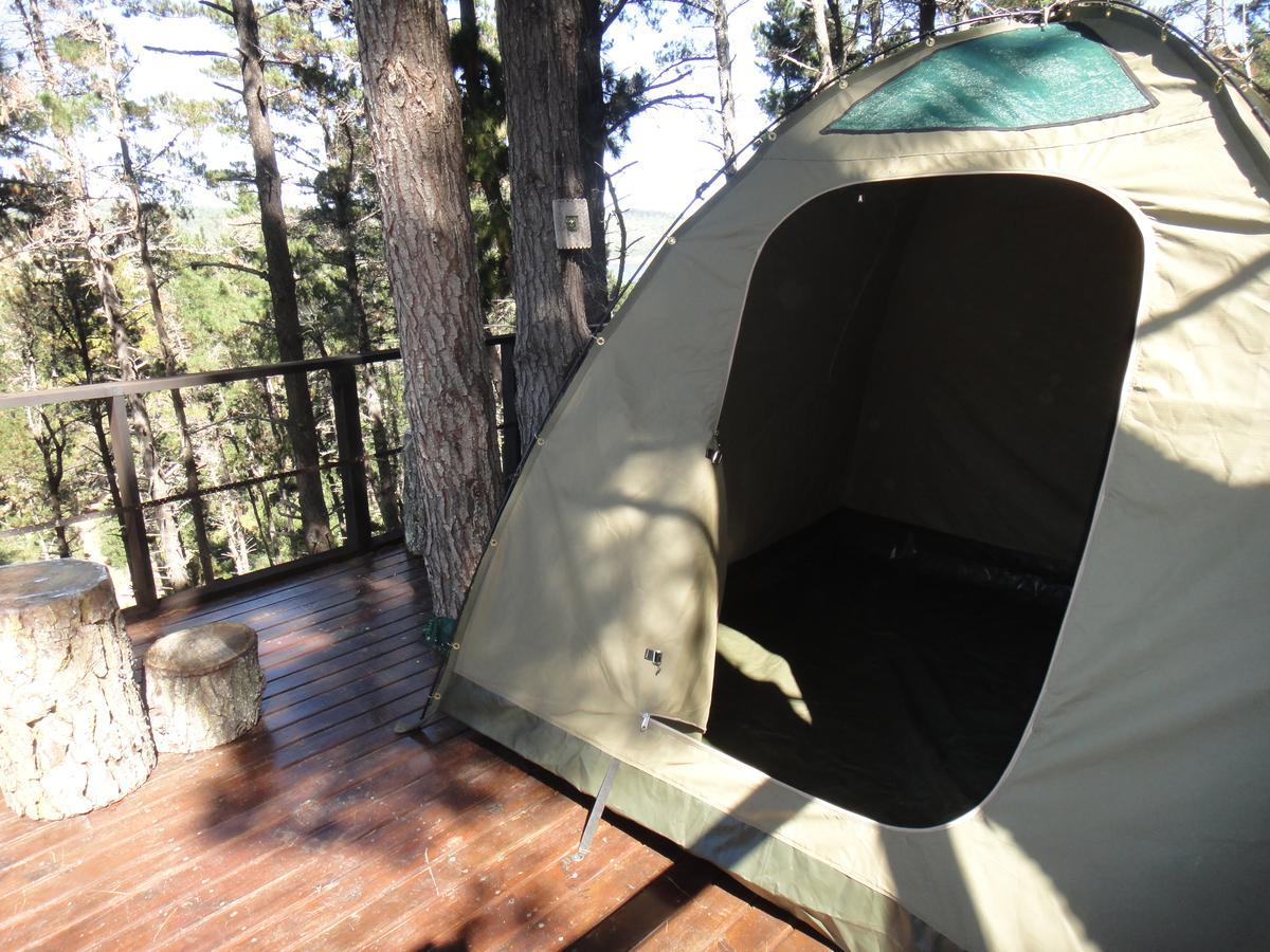 Eagles' Call Cottages&Tent Wildernis Exteriör bild