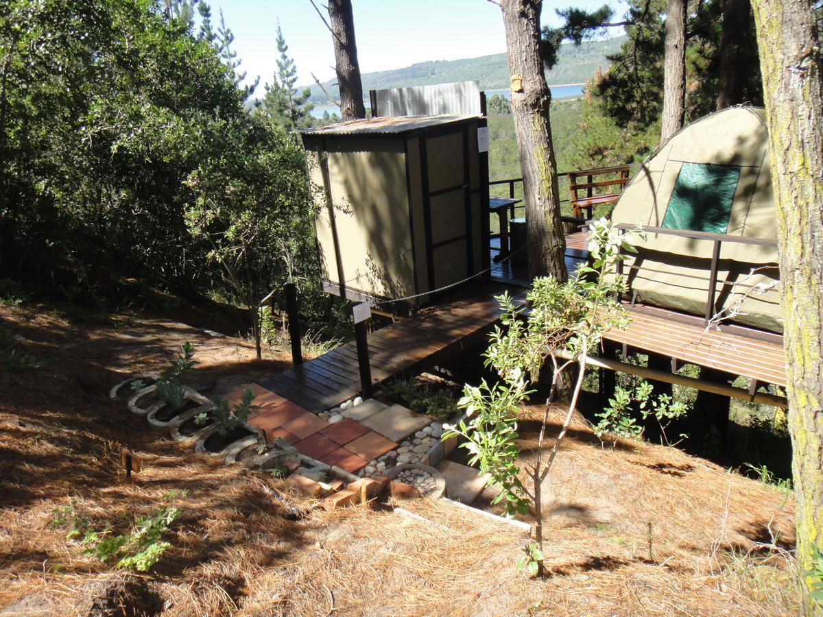Eagles' Call Cottages&Tent Wildernis Exteriör bild
