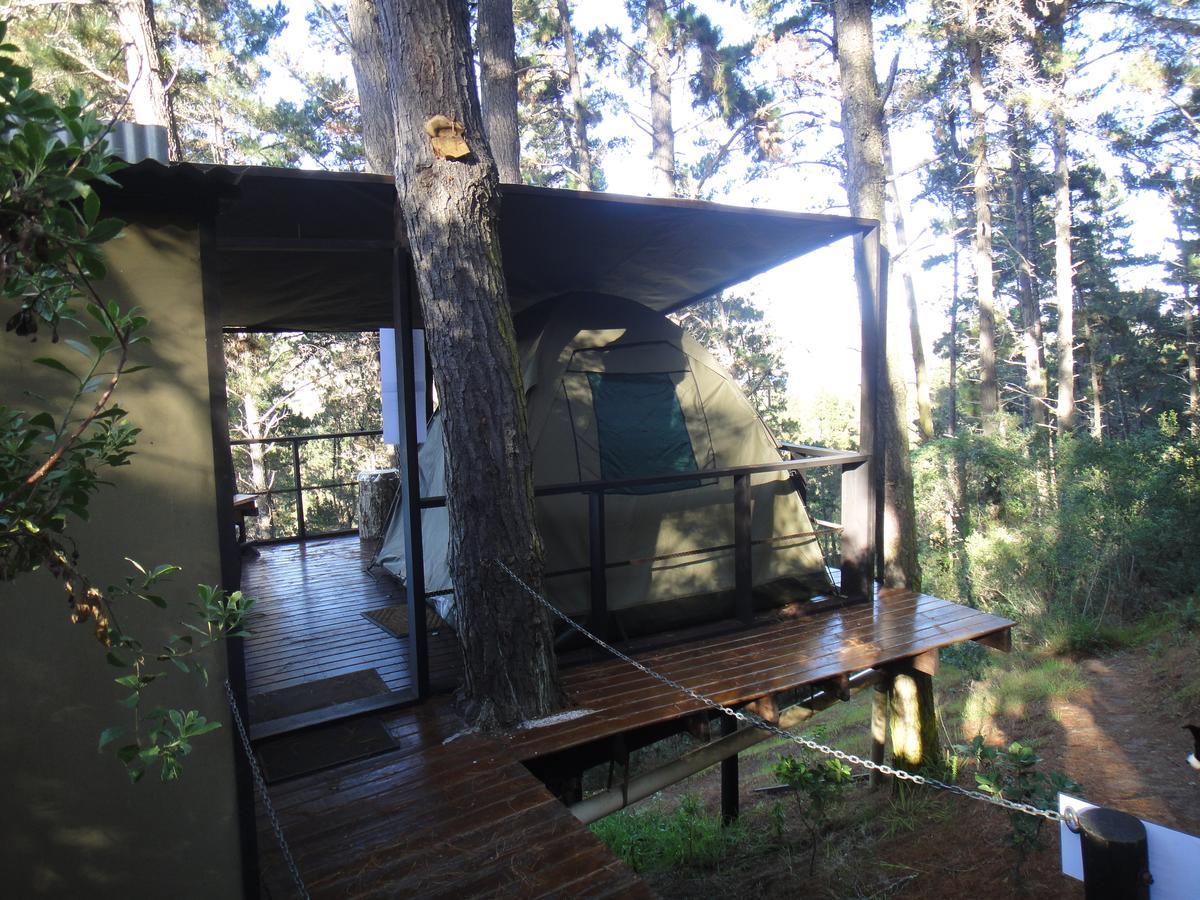 Eagles' Call Cottages&Tent Wildernis Exteriör bild