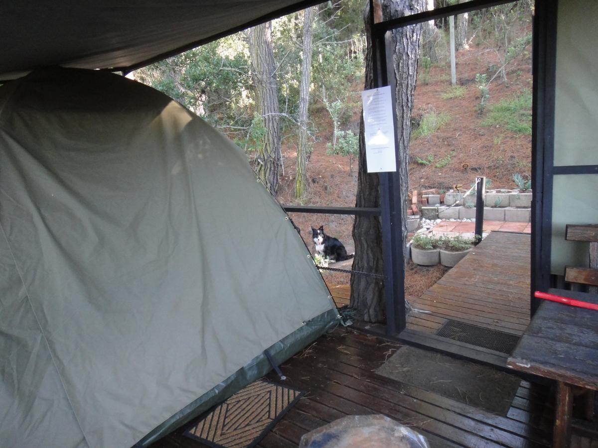 Eagles' Call Cottages&Tent Wildernis Exteriör bild