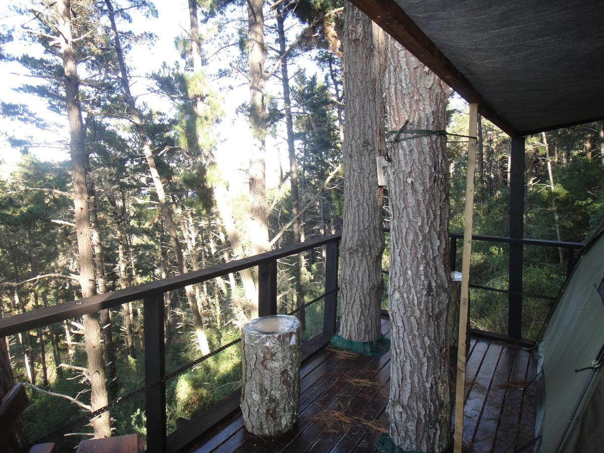Eagles' Call Cottages&Tent Wildernis Exteriör bild